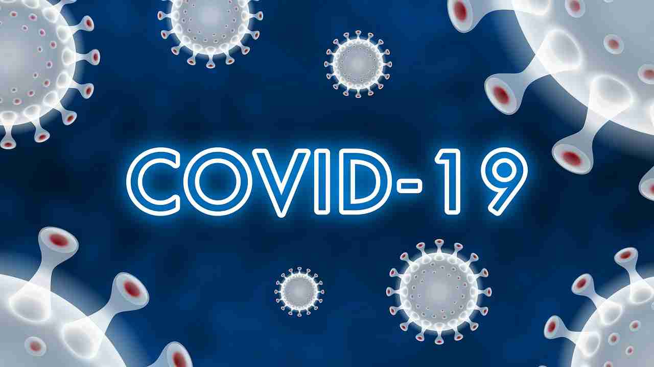 coronavirus fake news