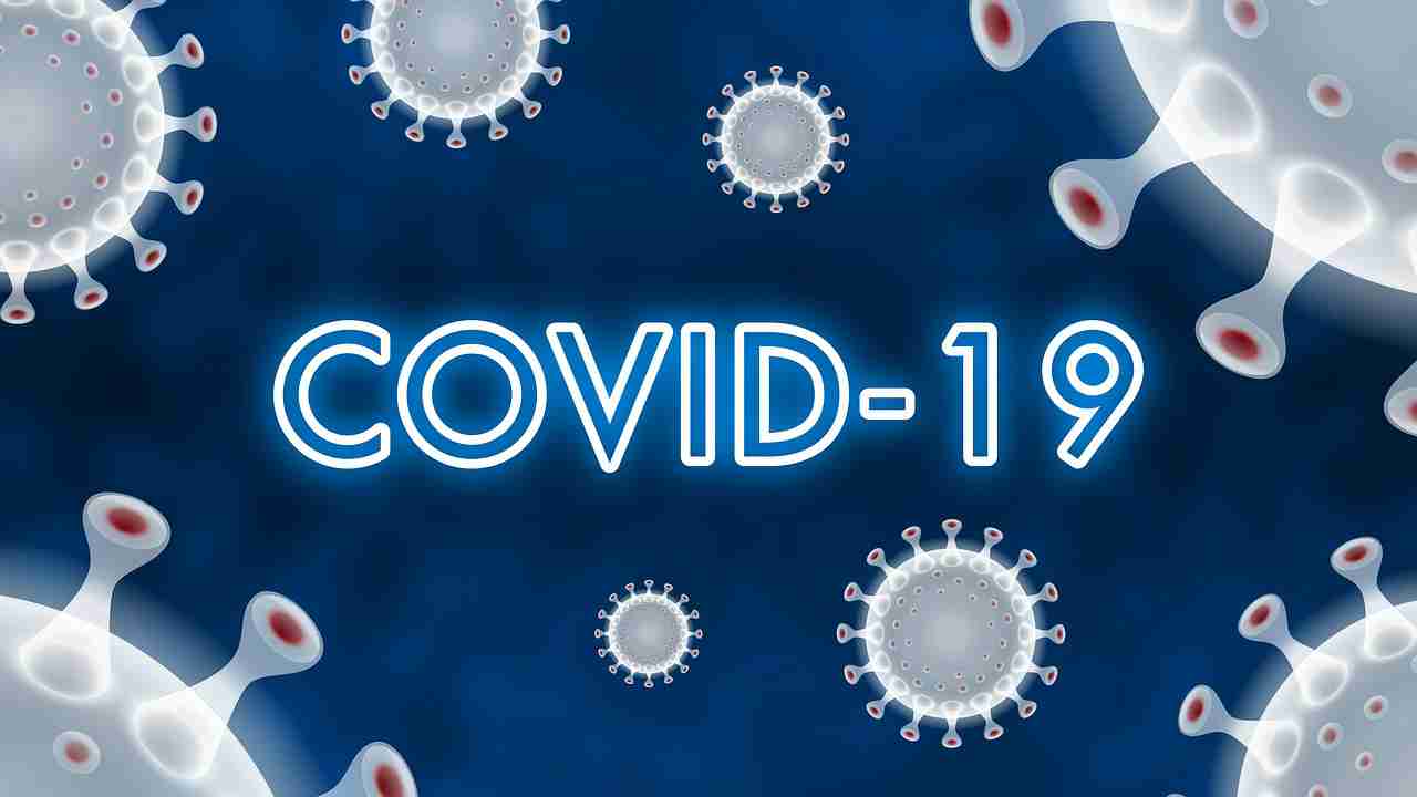 coronavirus fake news