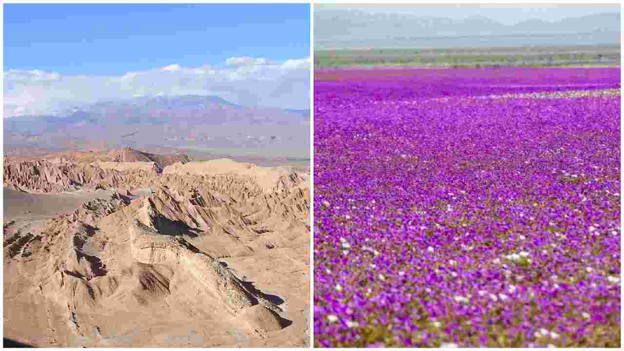 deserto atacama