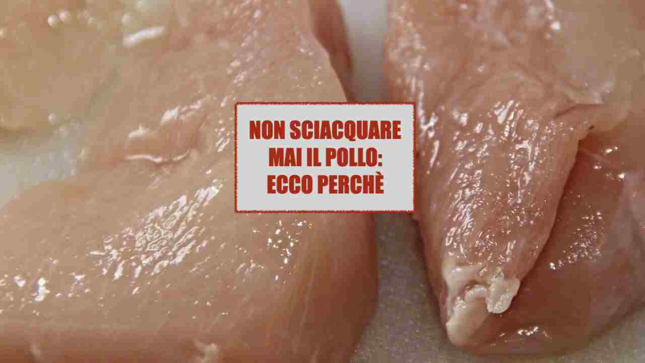 perché non devi lavare pollo crudo