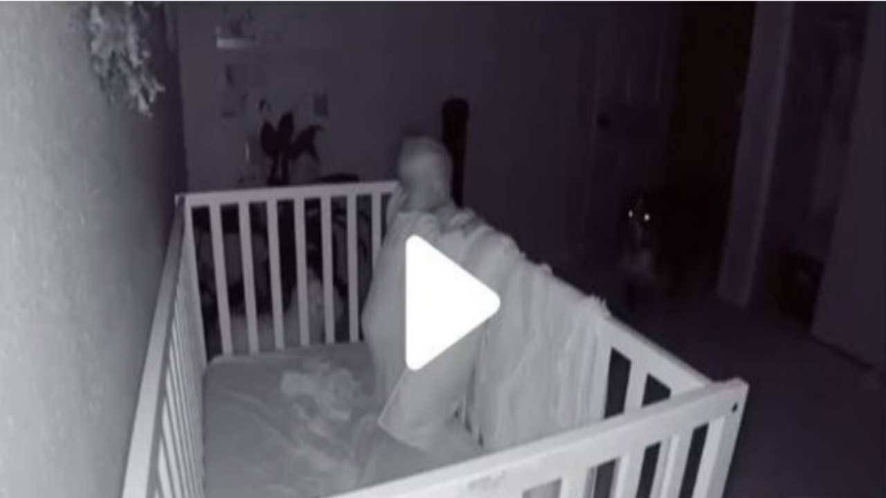 Cane sorveglia bambina mentre dorme