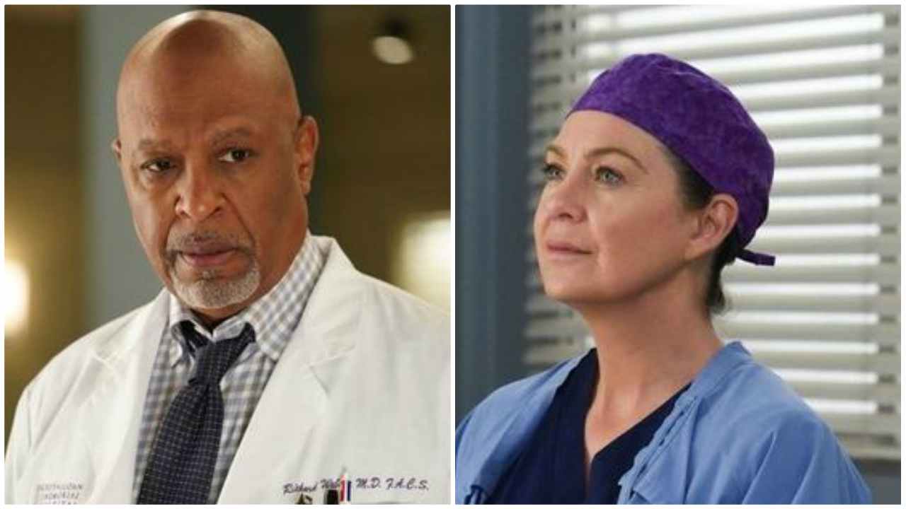 Webber e Meredith, Grey's Anatomy 16