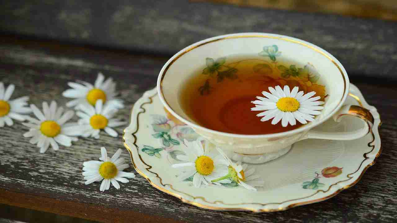 tisane per riposare meglio