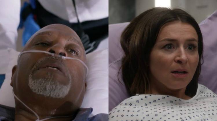 Grey's Anatomy finale di stagione, Webber ed Amelia