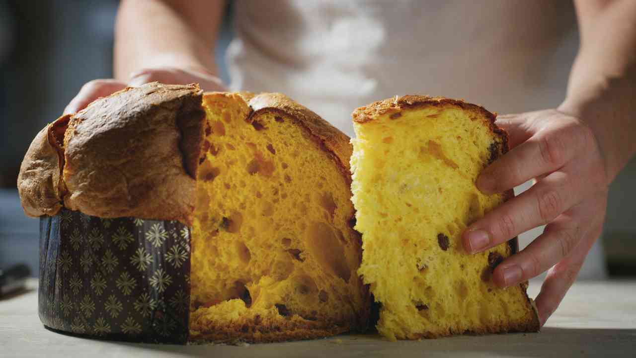 panettone fatto in casa ricetta