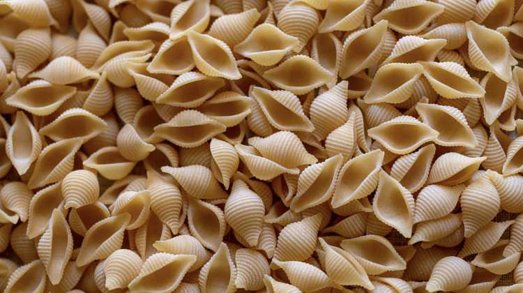 pasta conchiglioni