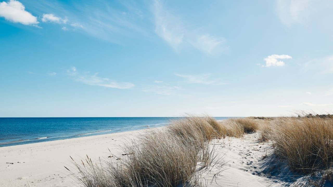 feto abbandonato spiaggia