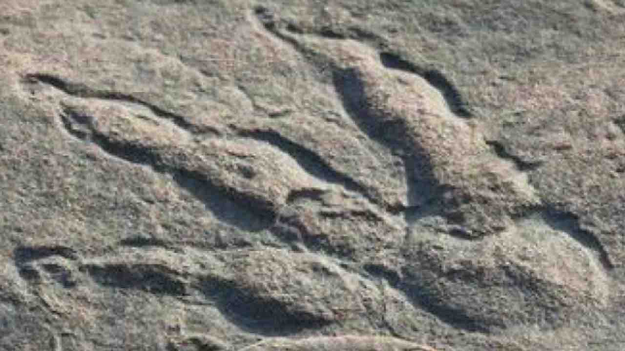 Galles, impronta di dinosauro