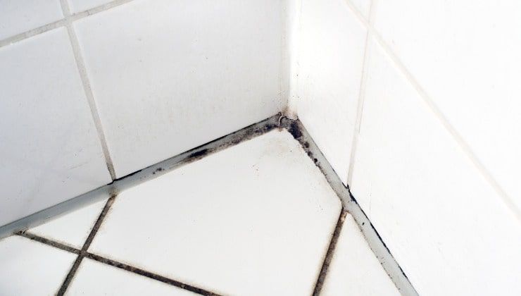 Come eliminare la muffa dalle pareti della doccia -Lettoquotidiano