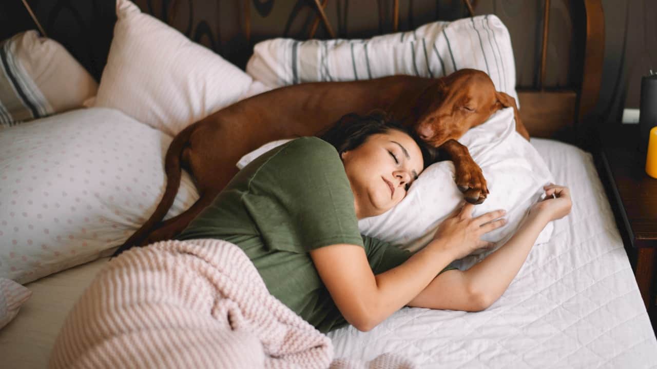 Dormire con il cane -Lettoquotidiano