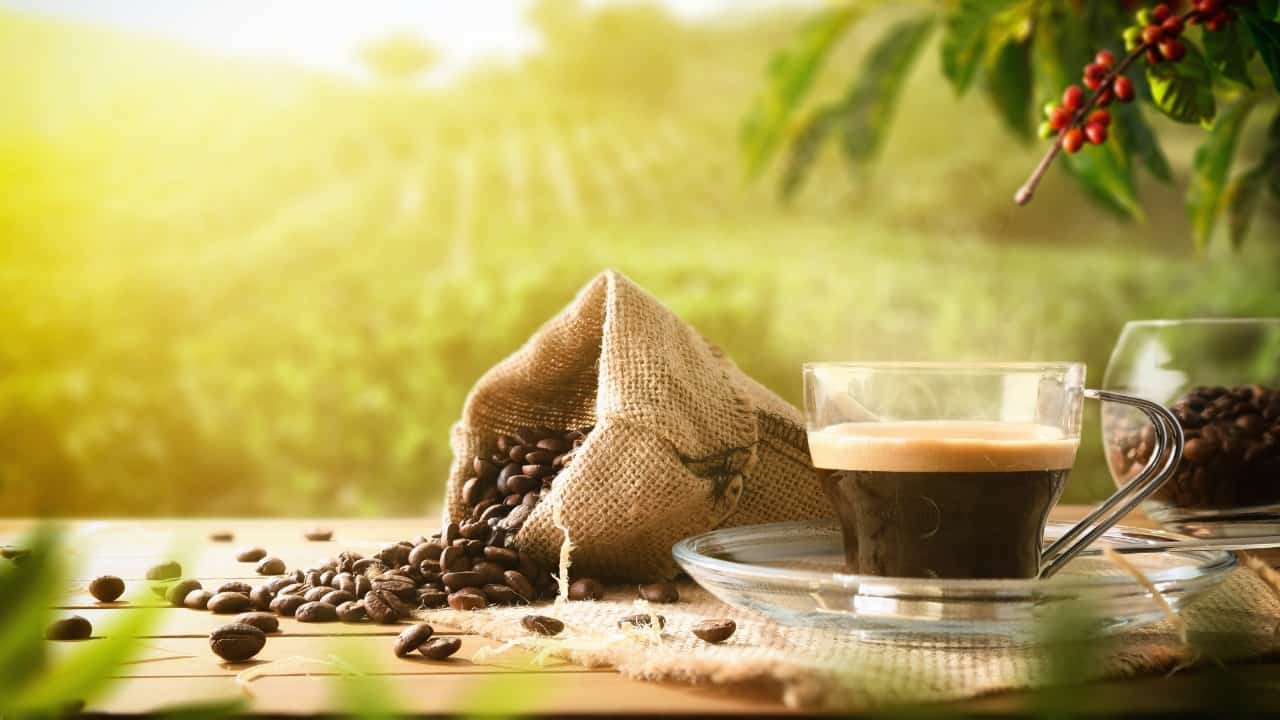 Quanti caffè bere al giorno -Lettoquotidiano