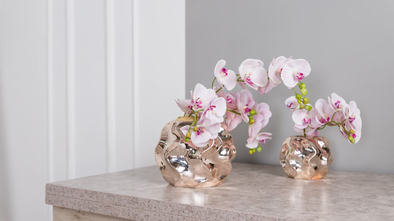Orchidee perfette -Lettoquotidiano
