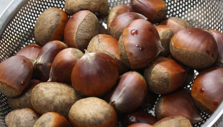 castagne