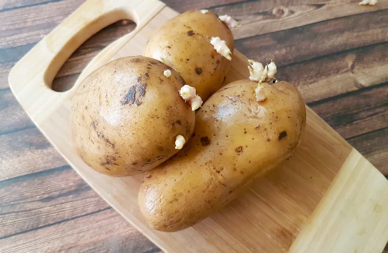 Patate su tagliere con germogli LettoQuotidiano.it