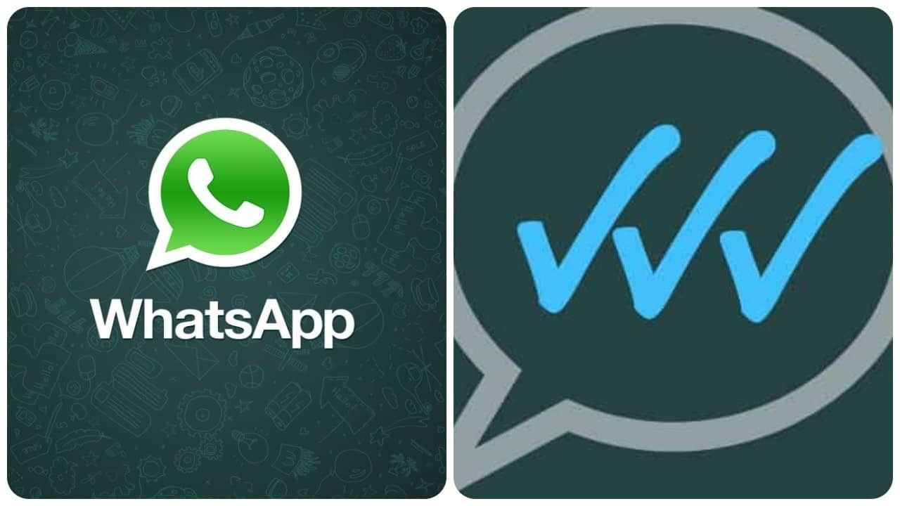 WhatsApp spunte blu - LettoQuotidiano.it