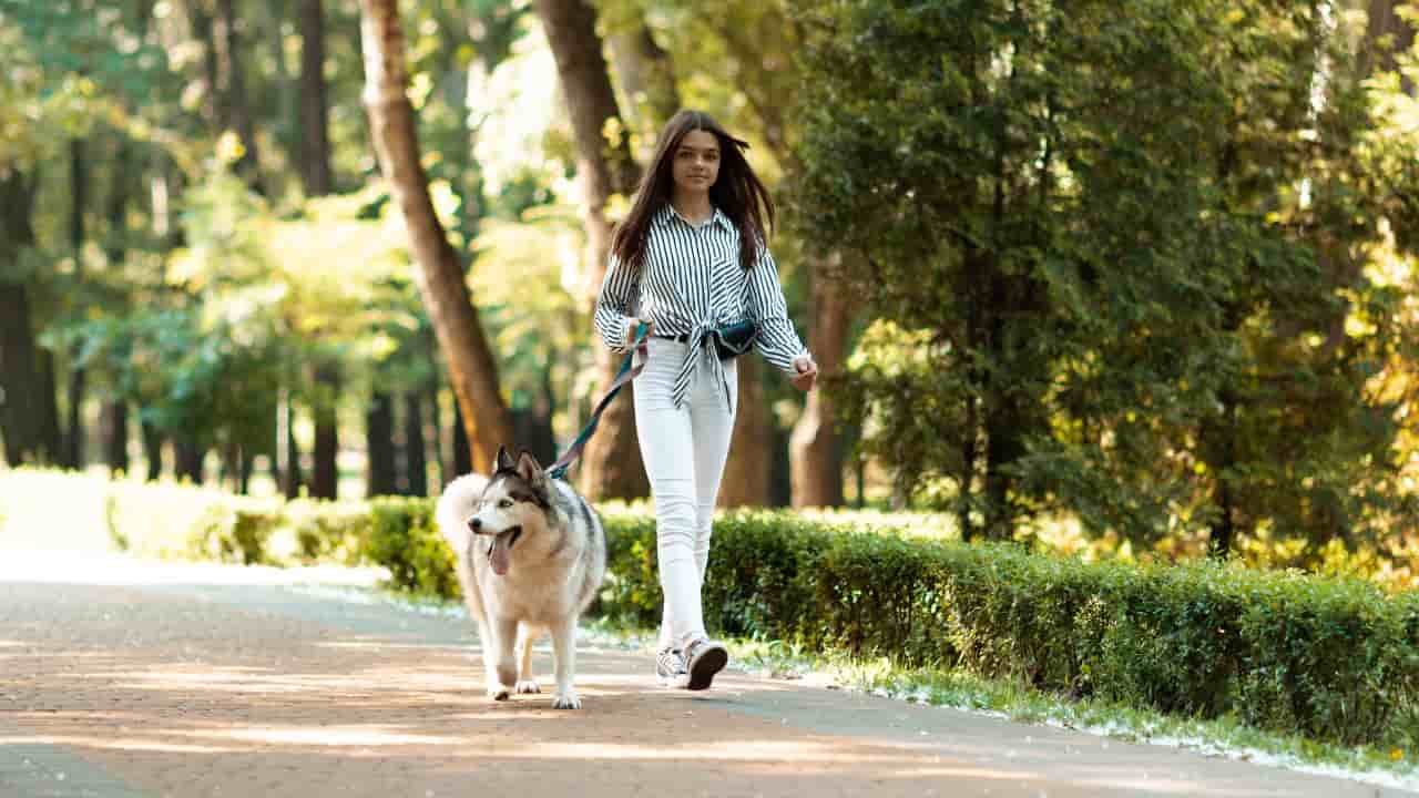 Camminare, giovane donna a spasso col cane 