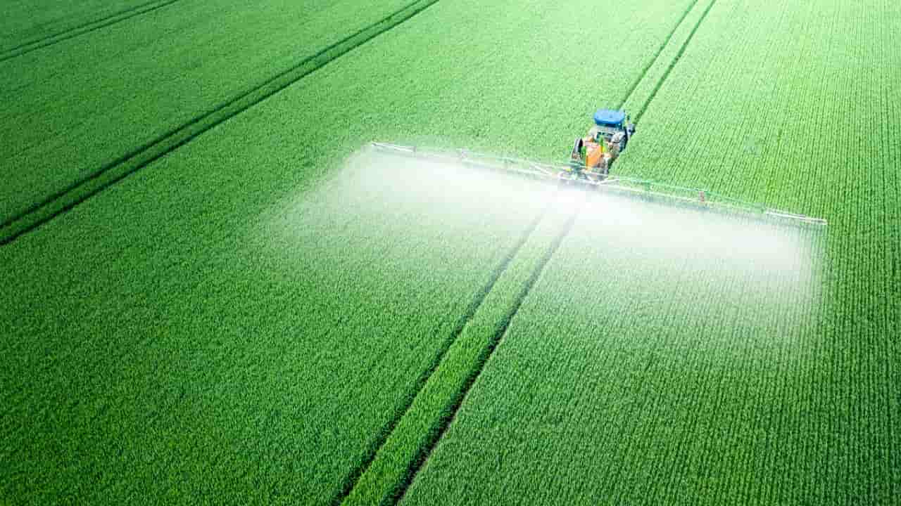 Pasta, campi irrorati con pesticidi