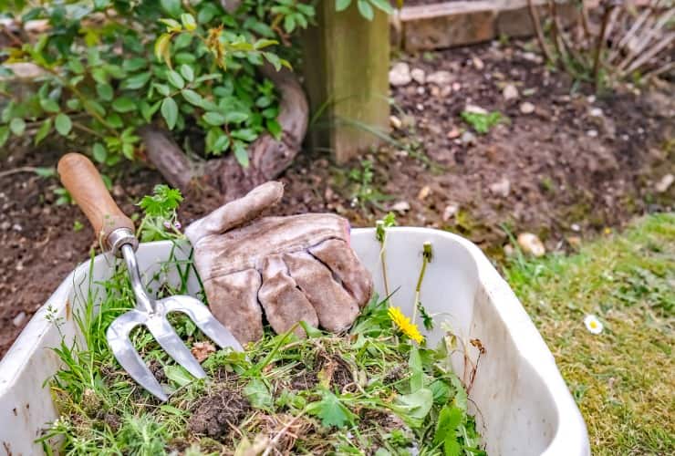 Attrezzi da giardinaggio per eliminare erbacce 