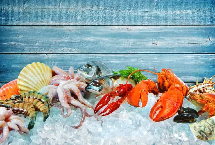  Pesce azzurro, crostacei e frutti di mare, alimentazione tiroide lenta 