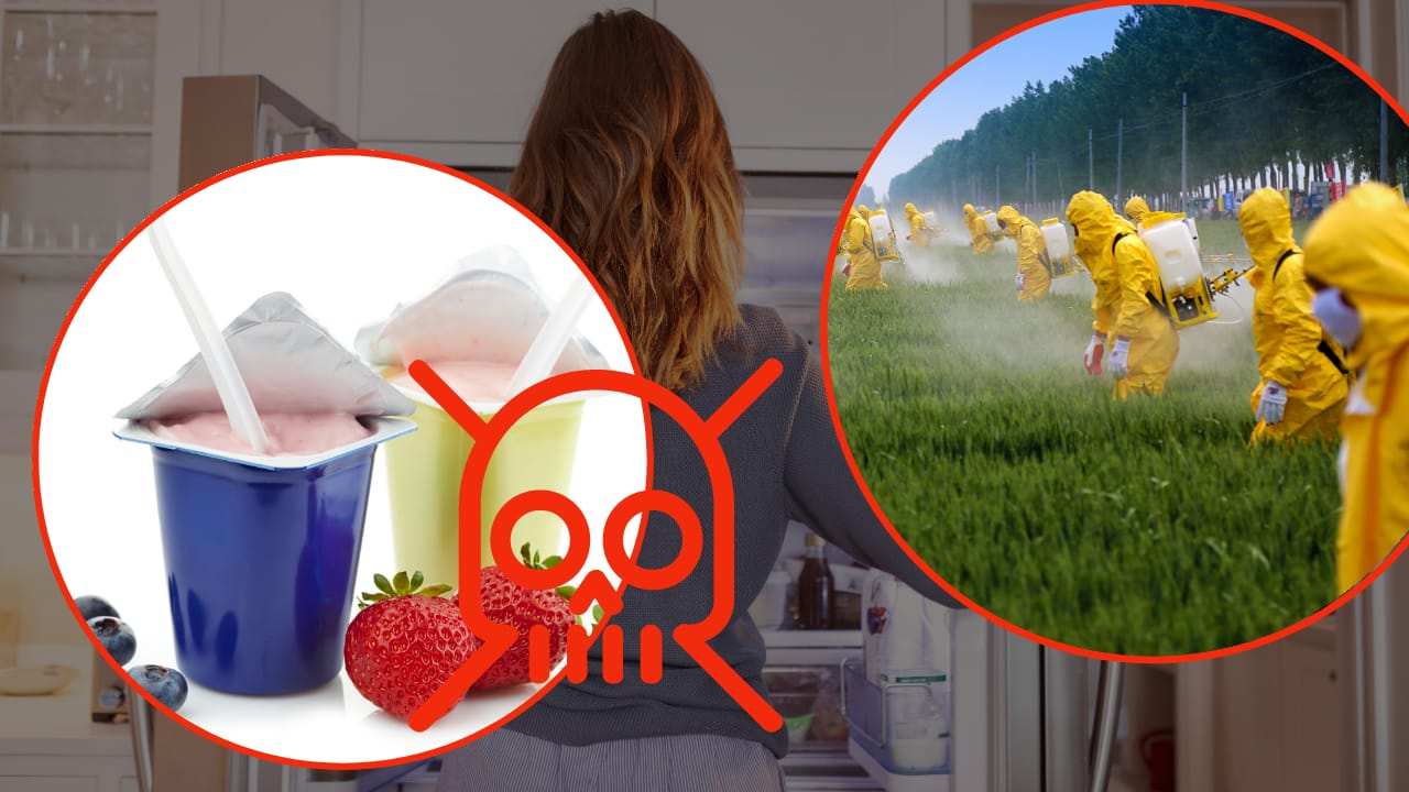 Allarme pesticidi yogurt