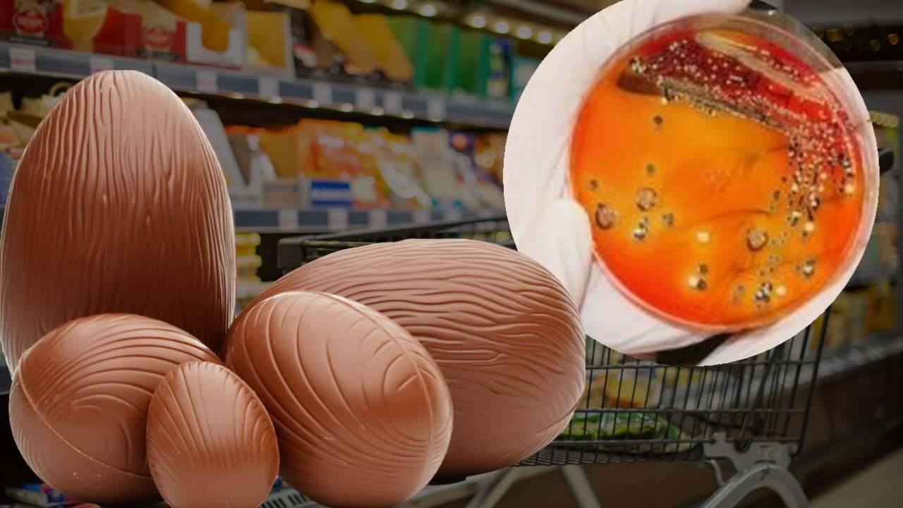 Occhio Salmonella