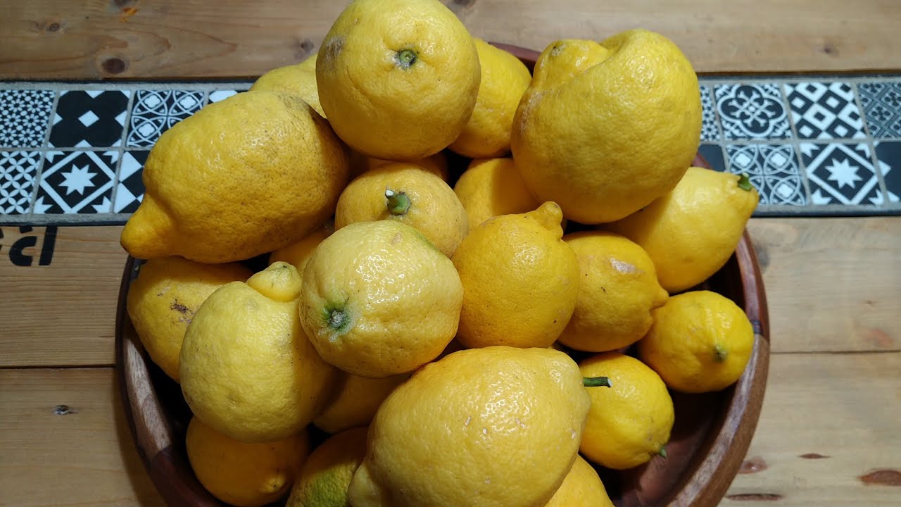 limoni forno