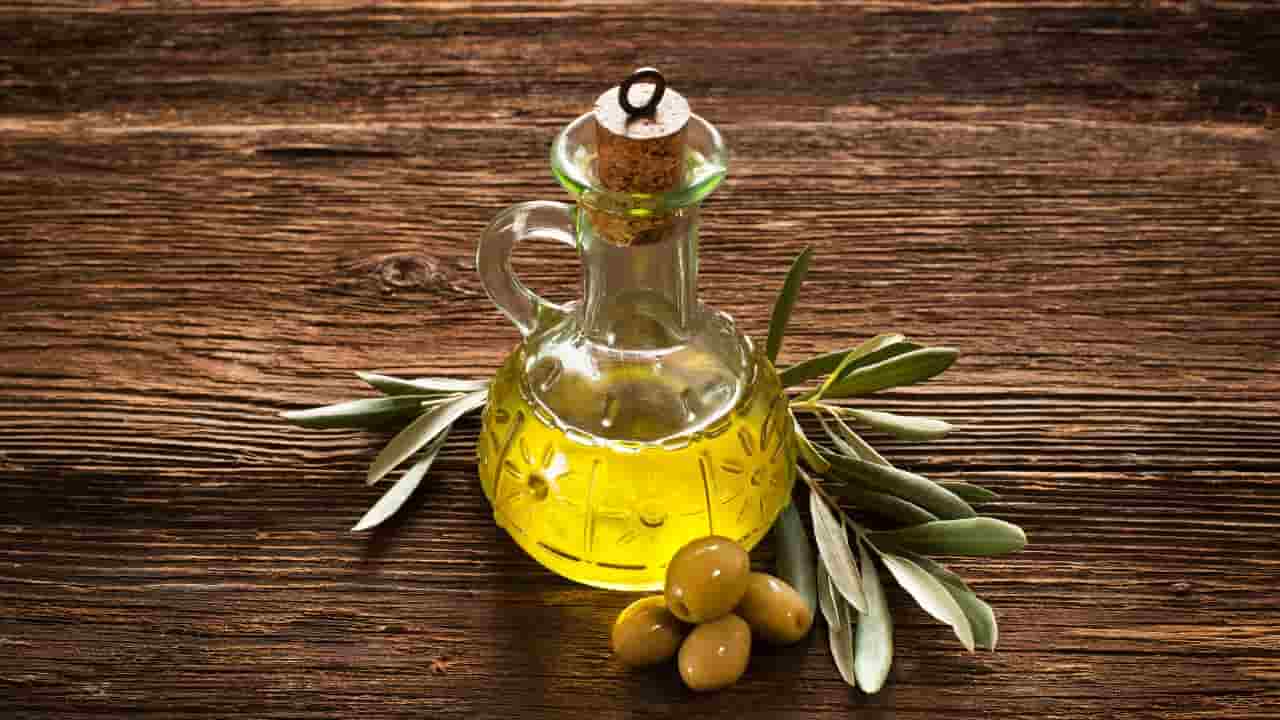 Olio a digiuno, olio d'oliva, ramo d'oliva