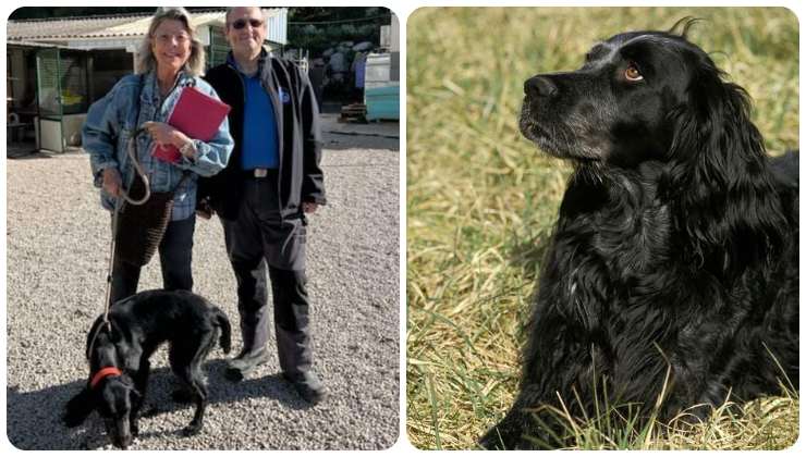 La principessa e il suo cane