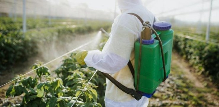 Pesticidi nei pomodori, la soluzione