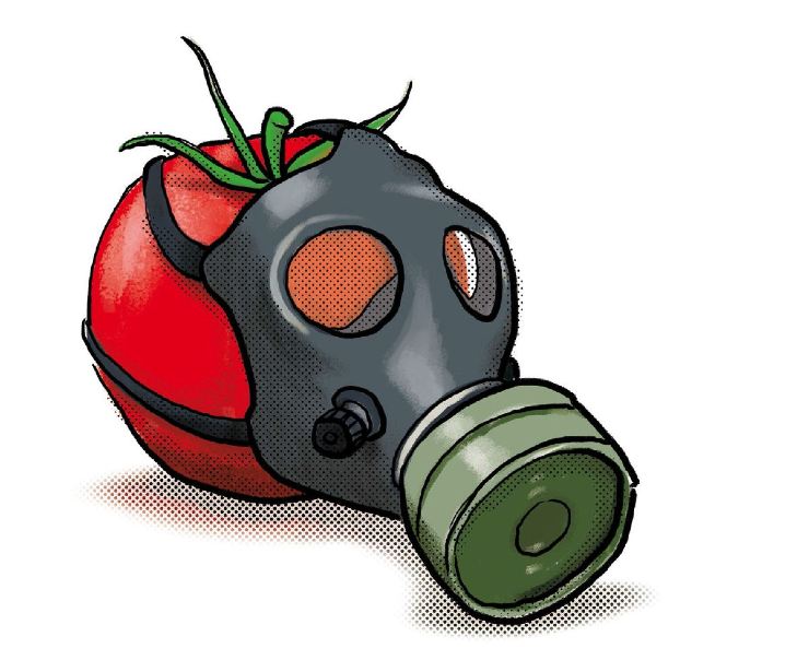 Pesticidi nei pomodori