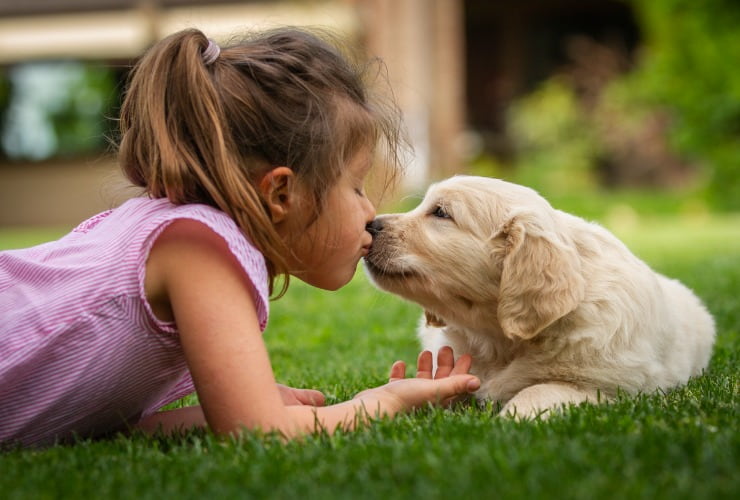 Bambina bacia cucciolo di cane sul prato
