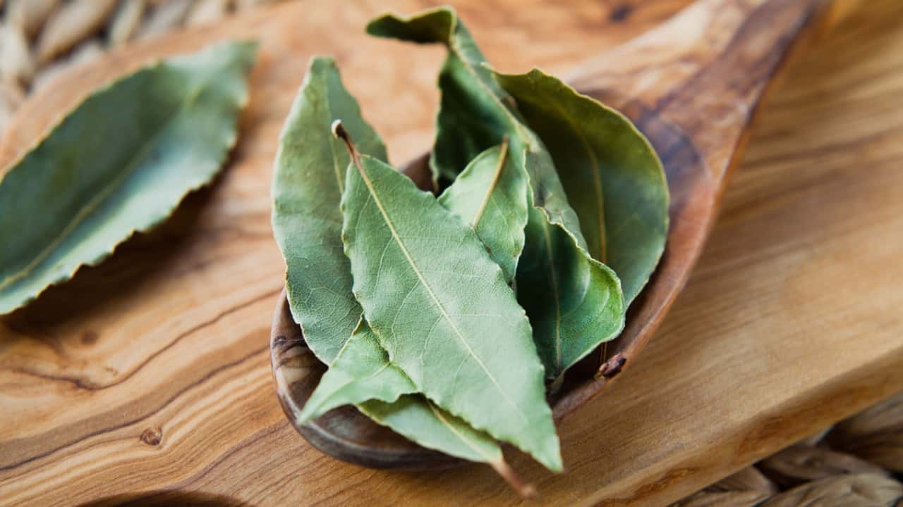 Cucchiaio di legno con foglie d'alloro