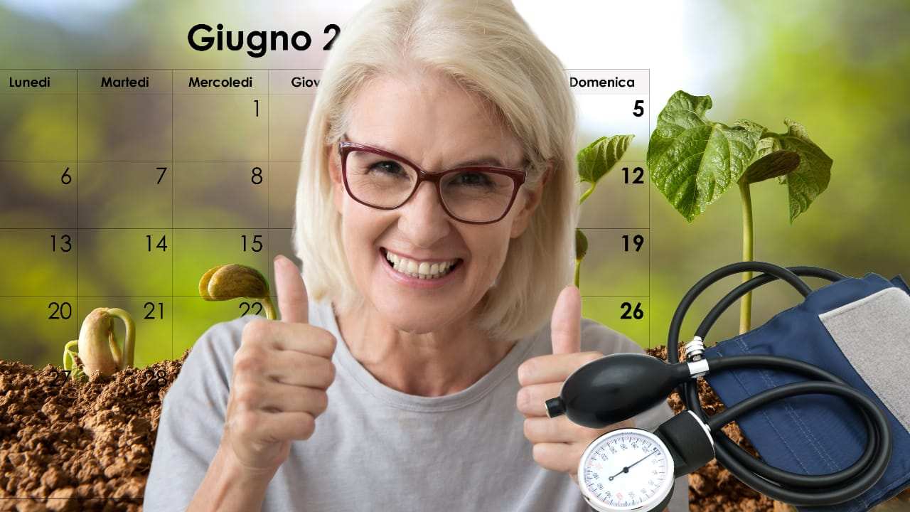 Piante di stagione Giugno