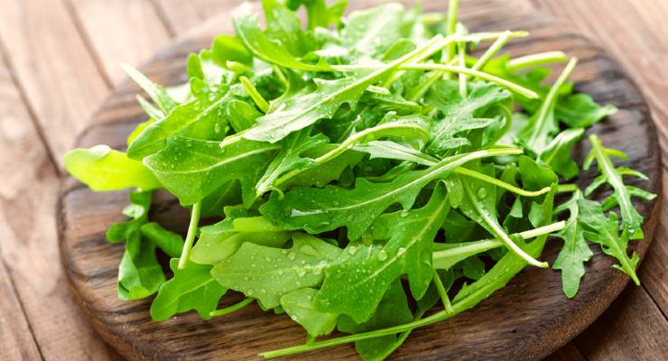 Rucola