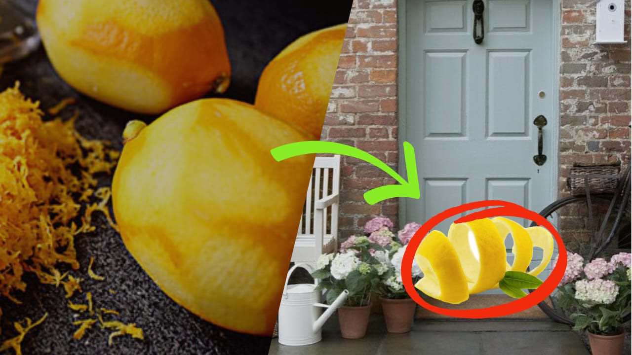 Scorza di limoni sulla porta