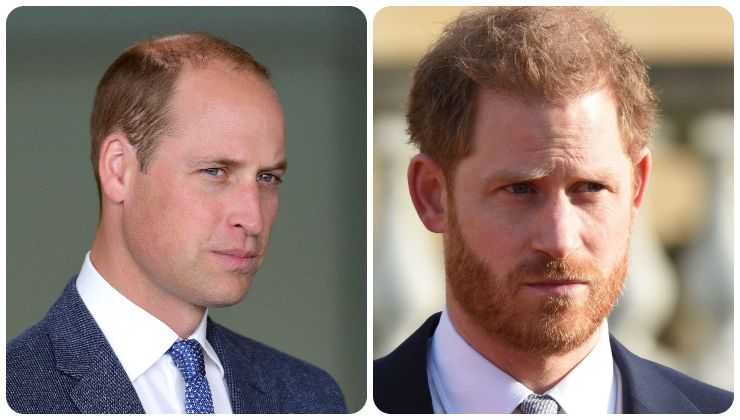 William e Harry