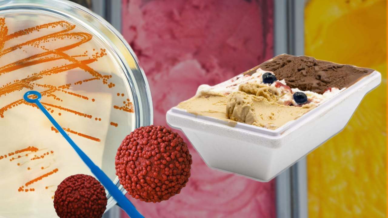 Vaschette gelato