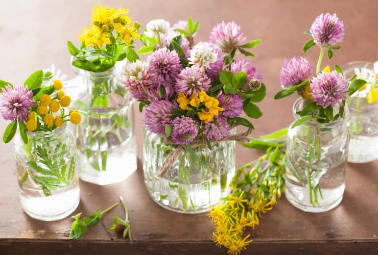 Fiori recisi in vaso