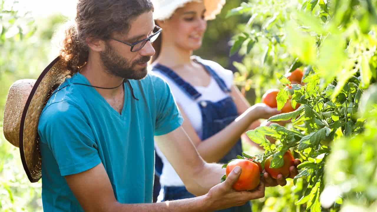 Giovane coppia lavora nell'orto