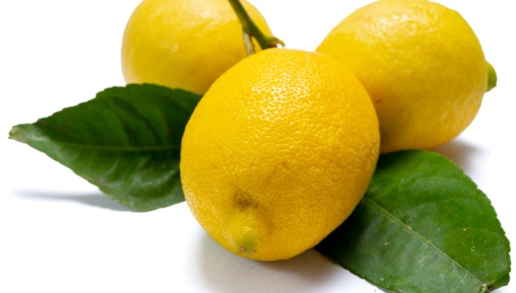 Limoni