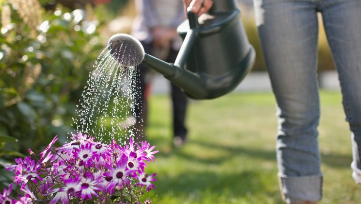 Annaffiare il giardino a Roma