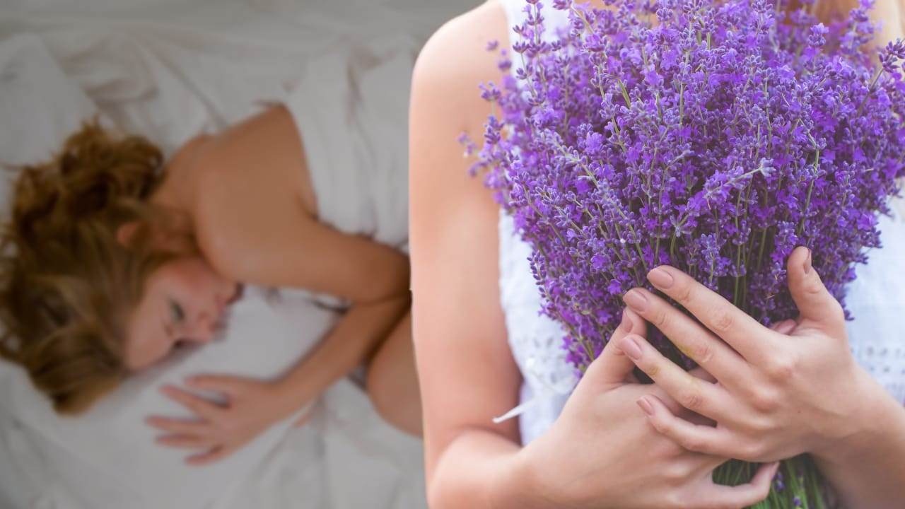 Lavanda sotto il cuscino