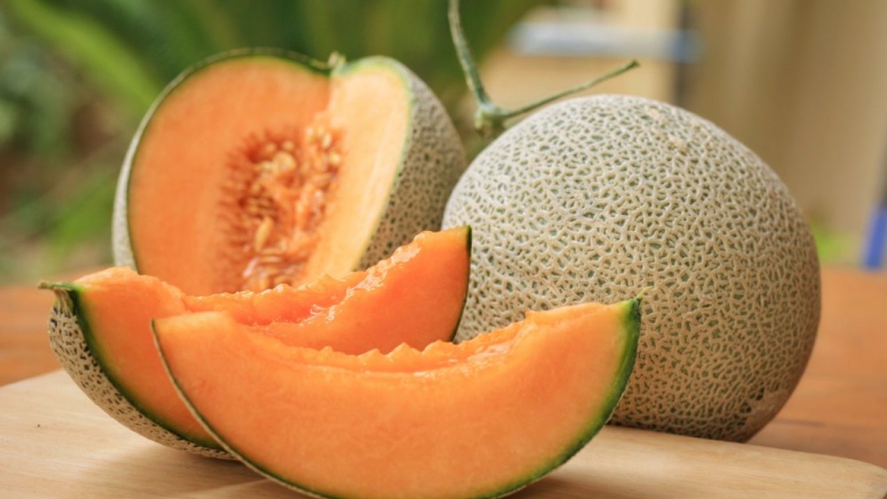 melone cantalupo 