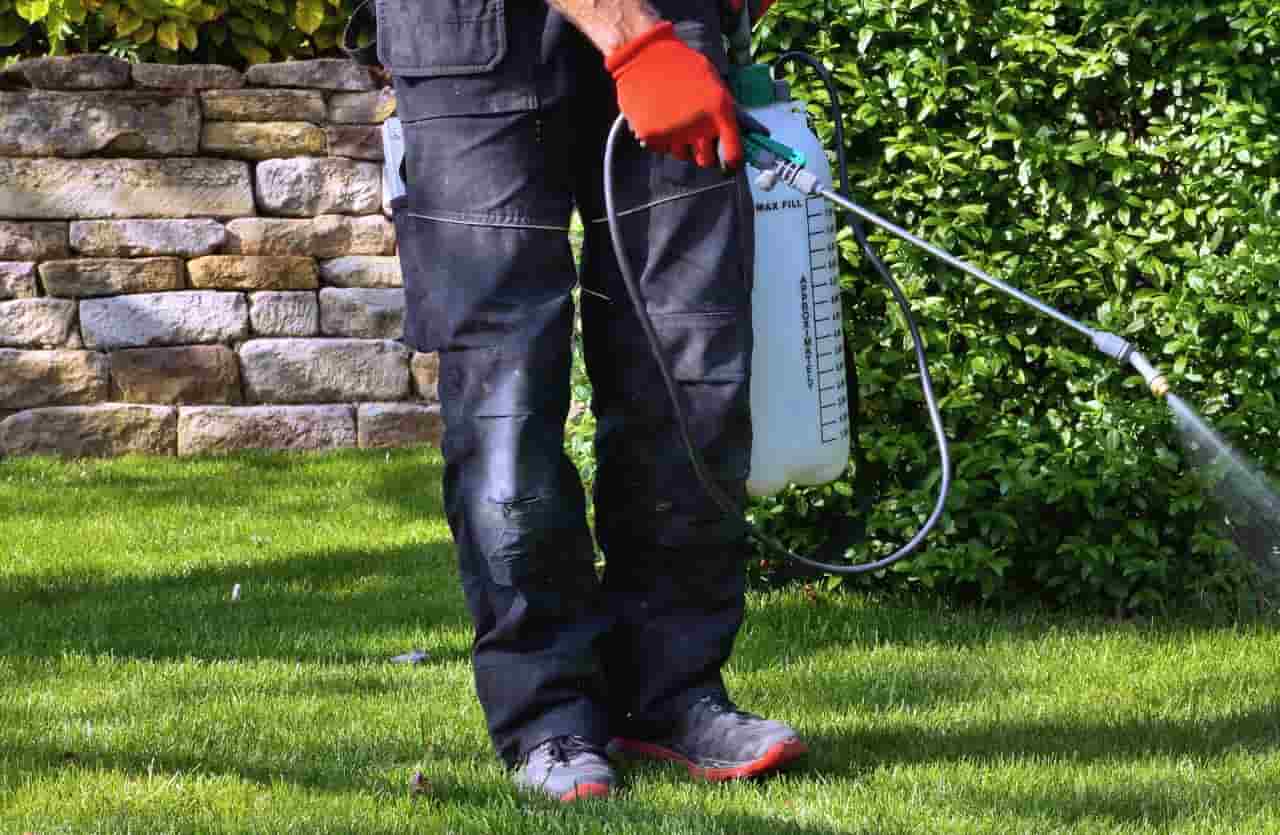 Man spraying natural herbicides with portable sprayer