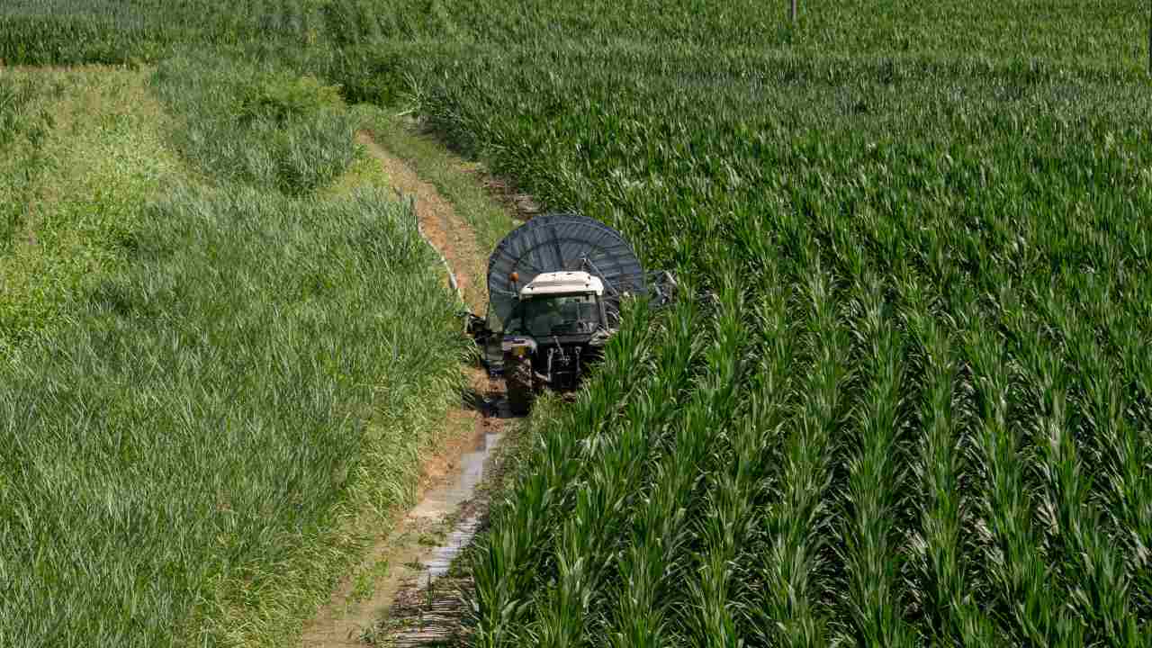 Azienda agricola