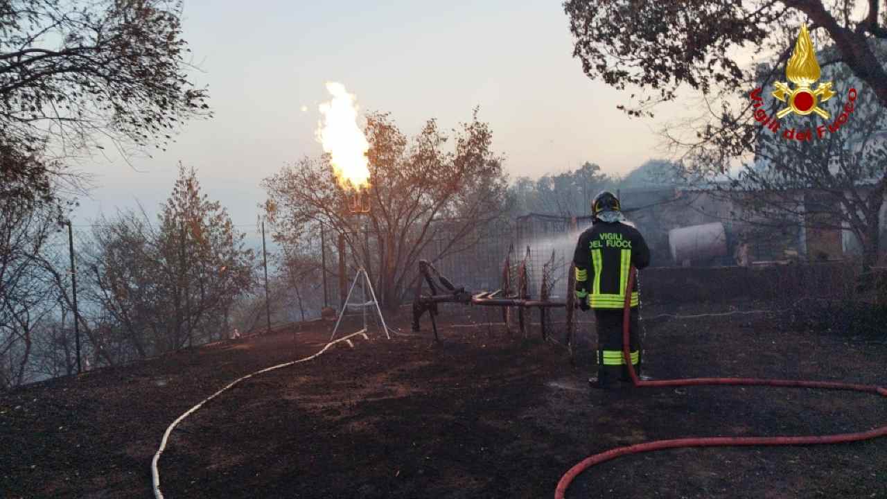 Carso incendio boschivo