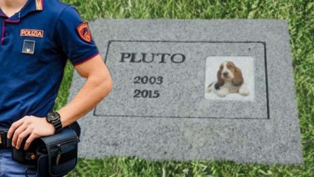 Seppellire il cane in giardino? Attenzione risponde la legge Quasi