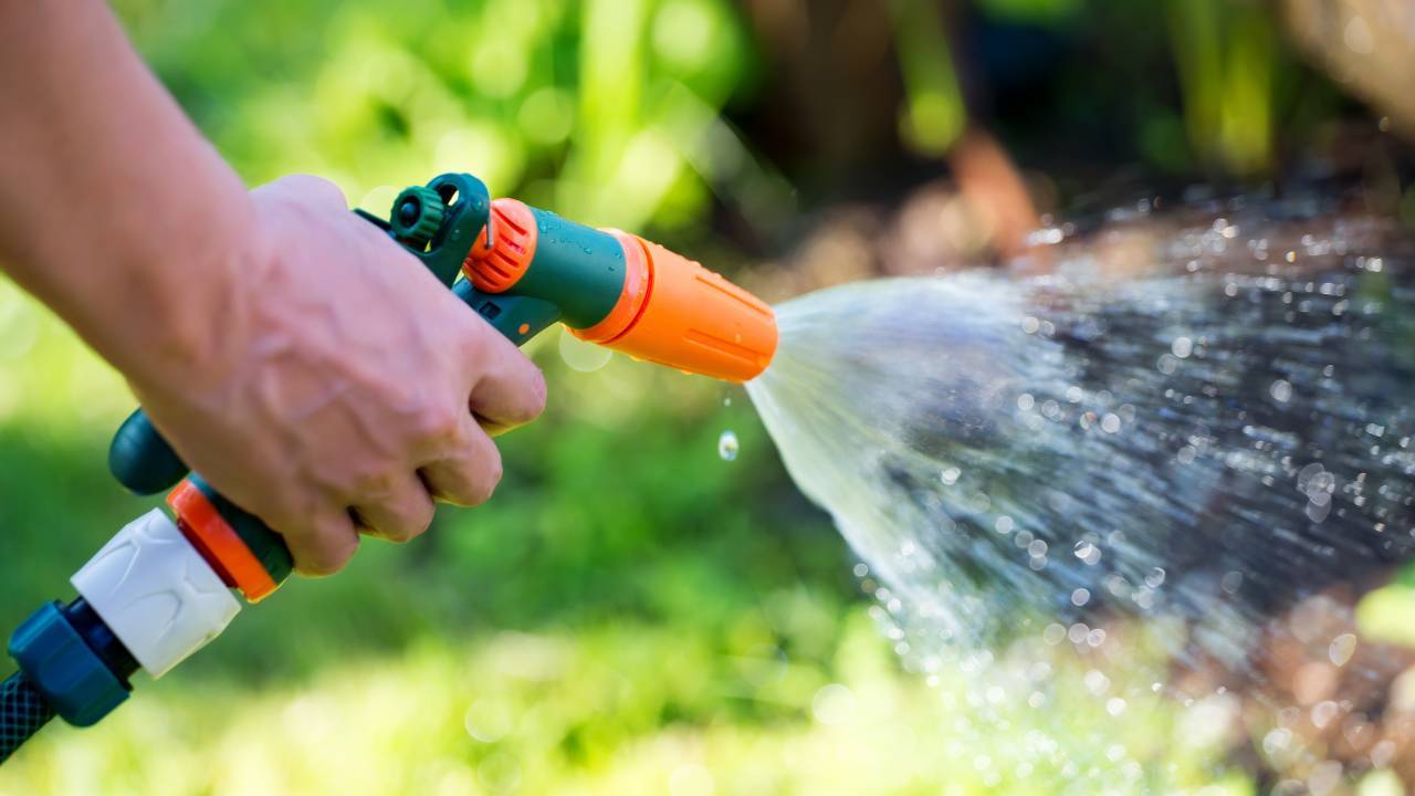 piante acqua condizionatore