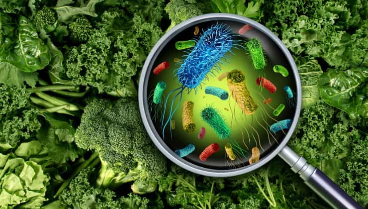 Batteri e germi su vegetali