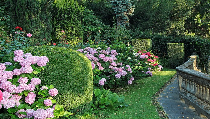 cuidar el jardín